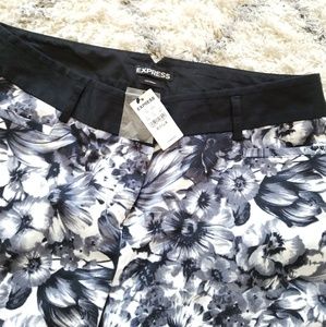 Express New pant